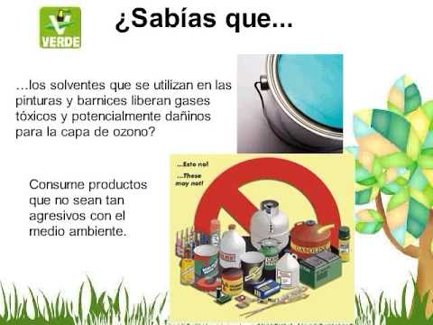 Cuidemos el ambiente - YouTube