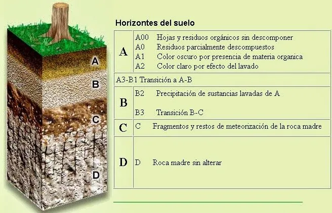 Tipos de suelo arenoso arcilloso y humifero - Imagui