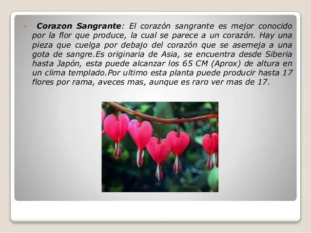 cules-son-las-flores-mas- ...