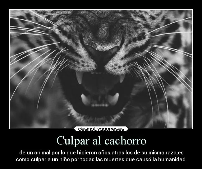 Culpar al cachorro | Desmotivaciones