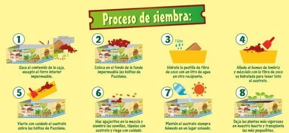 Cultiva y Juega: PROCESO DE SIEMBRA