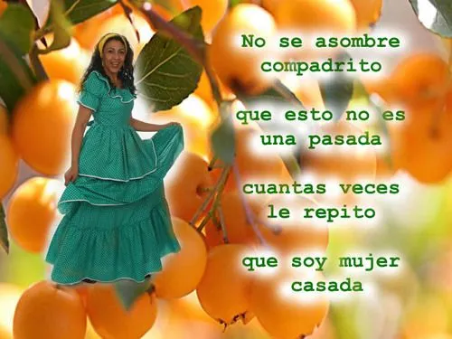 La Cultura del Amorfino en la Costa Ecuatoriana La Cultura del Amorfino en la Costa Ecuatoriana