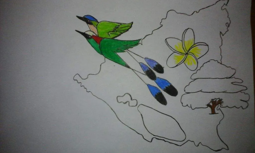 CulturalChallenge | Aprendiendo a Dibujar Amino CulturalChallenge | Aprendiendo a Dibujar Amino