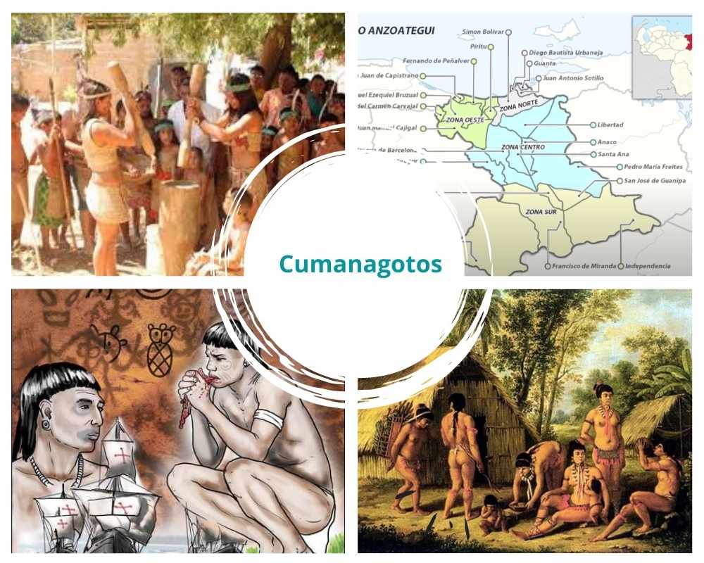 Cumanagotos | Ubicación, Vestimenta, Vivienda, Alimentación y Lengua Cumanagotos | Ubicación, Vestimenta, Vivienda, Alimentación y Lengua