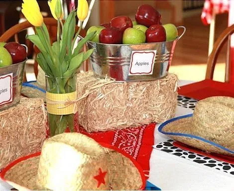 cumpleanos-un-ano-granja- ...