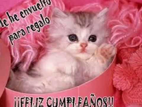 Cumpleaños feliz para mi amiga.wmv - YouTube