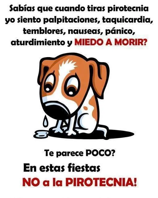 Cosas curiosas para publicar FaceBook - Imagui Cosas curiosas para publicar FaceBook - Imagui
