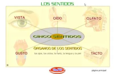 Curso: CONOCIENDO NUESTROS SENTIDOS