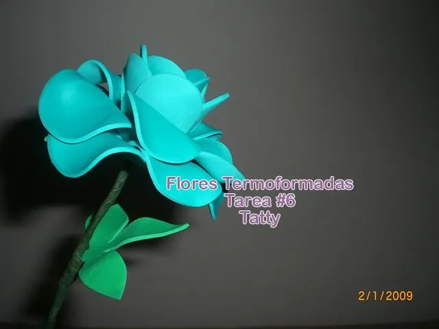 CURSO FINALIZADO FELICIDADES GRADUADAS Curso de Flores en Fomis ... CURSO FINALIZADO FELICIDADES GRADUADAS Curso de Flores en Fomis ...