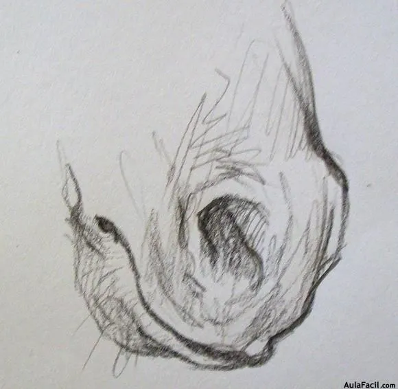 Curso gratis de Dibujo de Caballos - Los detalles - Boca y nariz ... Curso gratis de Dibujo de Caballos - Los detalles - Boca y nariz ...