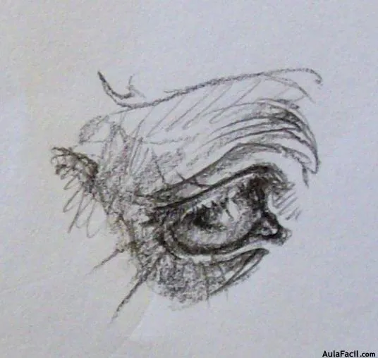 Curso gratis de Dibujo de Caballos - Los detalles | AulaFacil.com ...