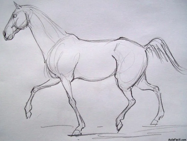 Curso gratis de Dibujo de Caballos - Dibujar Caballos - Postura de ...