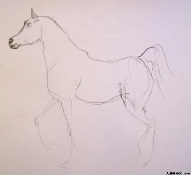 Curso gratis de Dibujo de Caballos - Dibujar Caballos - Caballo ...