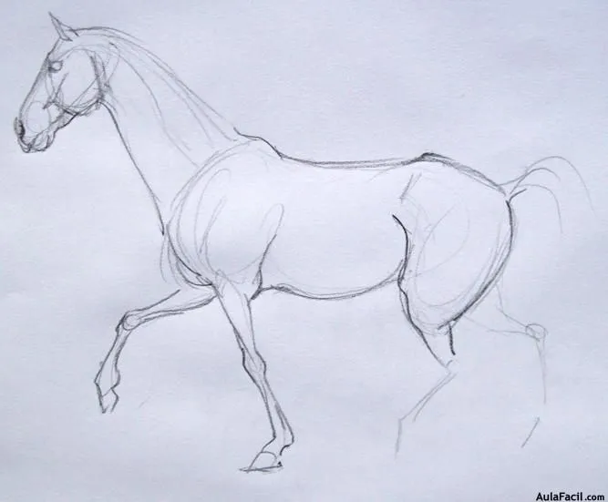 Curso gratis de Dibujo de Caballos - Dibujar Caballos ...