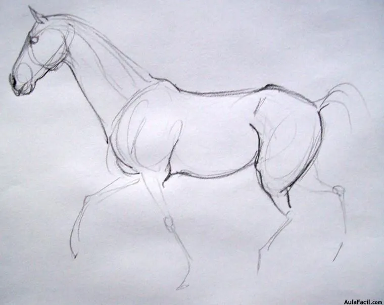 Curso gratis de Dibujo de Caballos - Dibujar Caballos ...