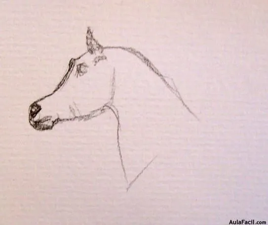 Curso gratis de Dibujo de Caballos - Dibujar Caballos - Caballo ...