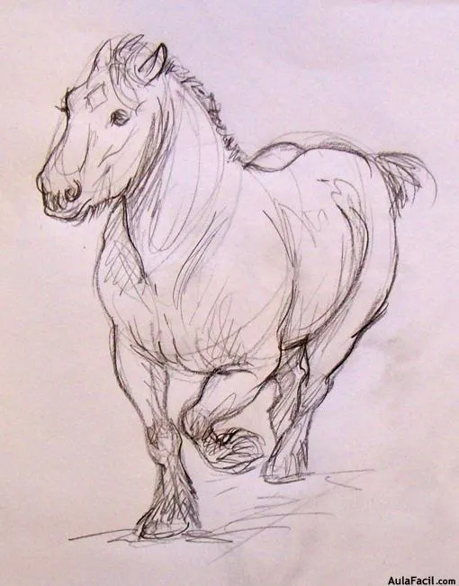 Curso gratis de Dibujo de Caballos - Dibujar Caballos - Caballos ...