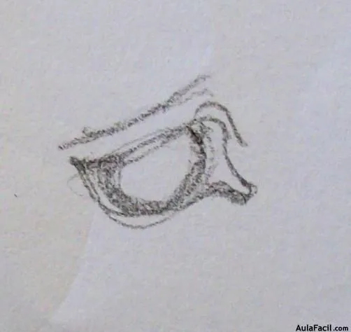 Curso gratis de Dibujo de Caballos - Las diferencias morfológicas ... Curso gratis de Dibujo de Caballos - Las diferencias morfológicas ...