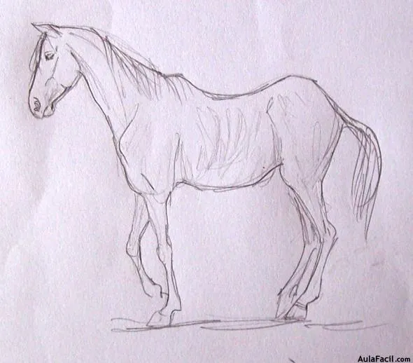 Curso gratis de Dibujo de Caballos - Las edades del caballo ... Curso gratis de Dibujo de Caballos - Las edades del caballo ...