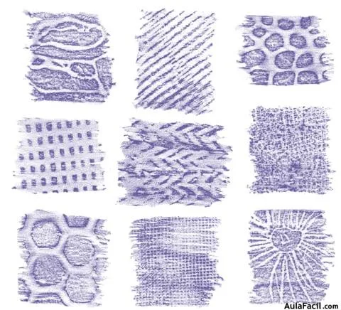 Curso gratis de Educación Plástica y Visual (1º ESO) - La Textura ...