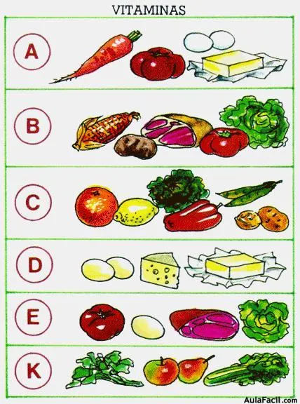 Curso gratis de Fisioterapia - Aliméntate bien. Vitaminas ...
