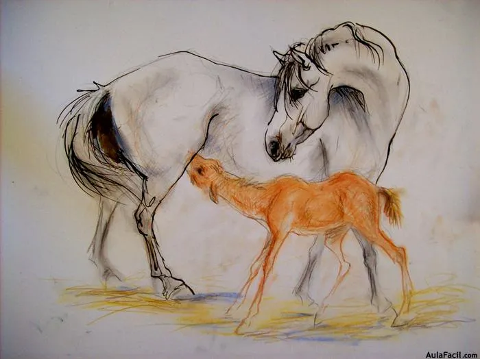 Curso gratis de Pintura de Caballos - Yegua con potrillo con ...