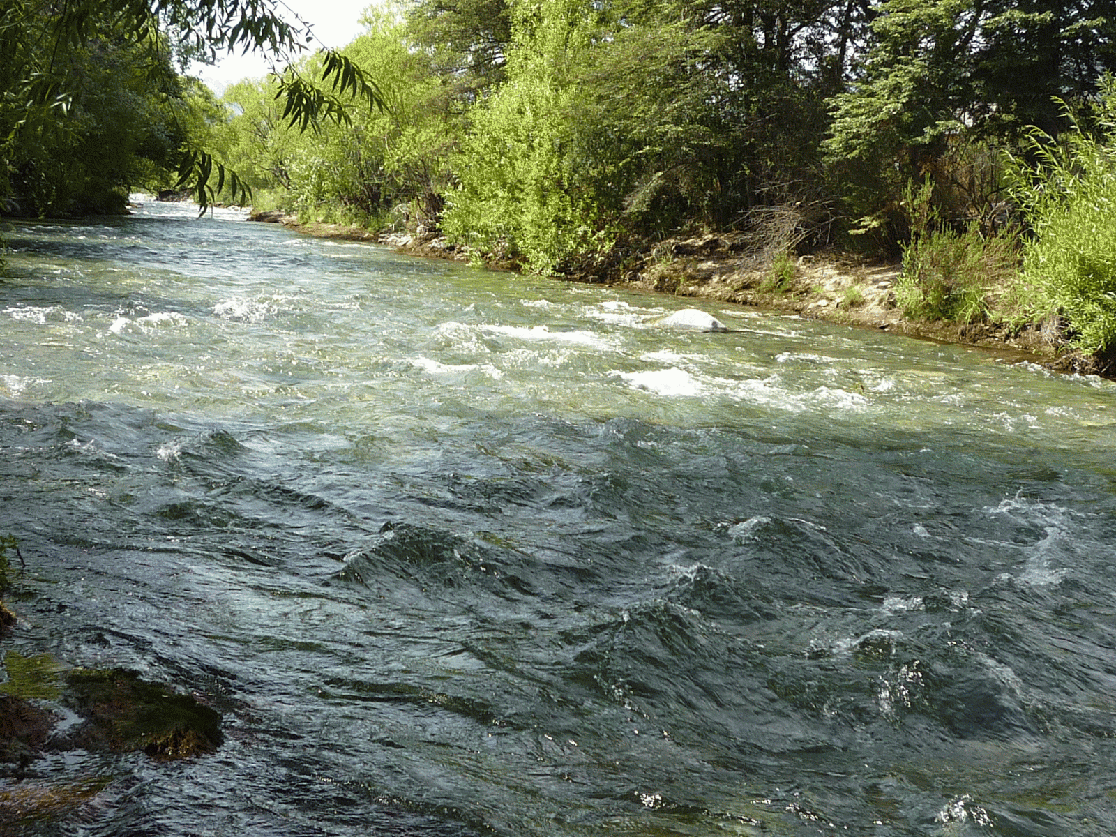 curso imagenes digitales: Agua en movimiento (gif) curso imagenes digitales: Agua en movimiento (gif)