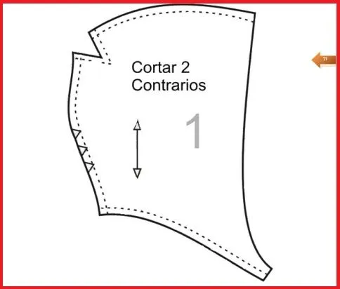 Curso Ropa Para Perros | Bienvenido A Este Entrenamiento! Aprenda ... Curso Ropa Para Perros | Bienvenido A Este Entrenamiento! Aprenda ...