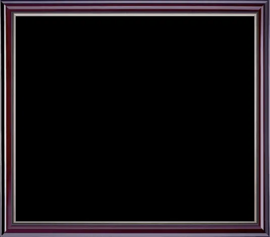 Custom Diploma Frames & Certificate Frames - Framing Success: City ...