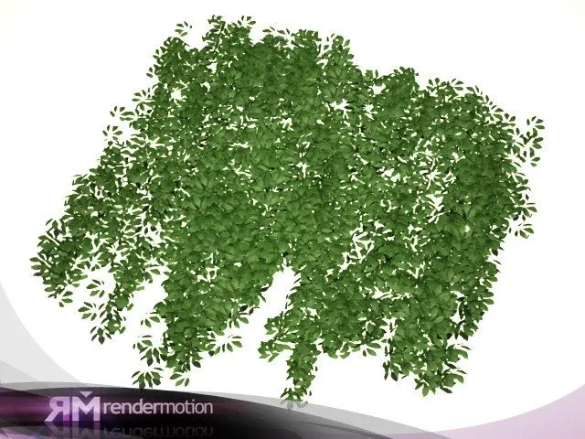 d2 c1 14 climber enredadera max