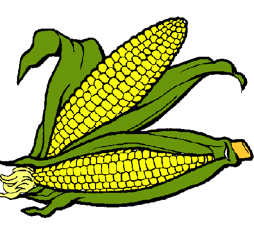 Dibujo de Mazorca de maíz pintado por Elote en Dibujos.net el día ... Dibujo de Mazorca de maíz pintado por Elote en Dibujos.net el día ...