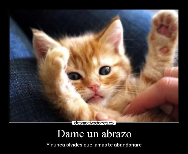 Dame un abrazo | Desmotivaciones