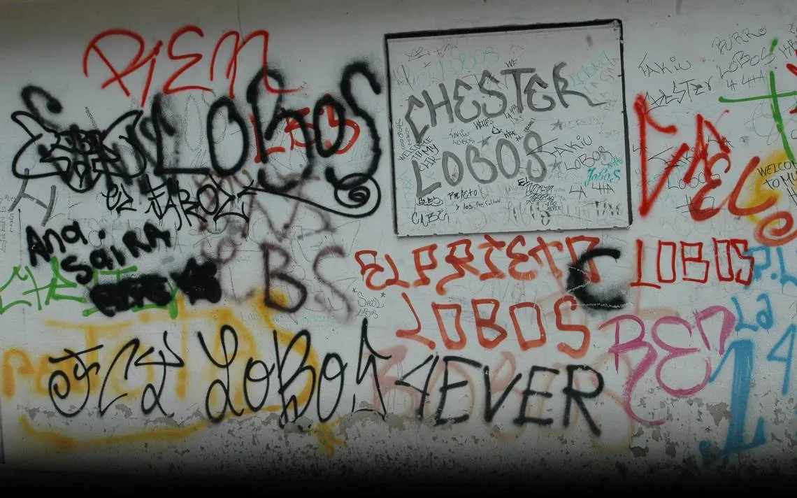 Dañan a la ciudad con grafiti maligno - El Sol de León | Noticias Locales,  Policiacas, sobre México, Guanajuato y el Mundo