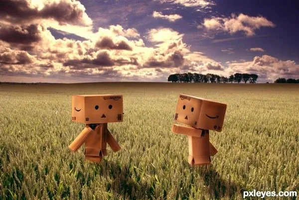 Danbo Photoshop Contest (20538), Pictures Page 1 - Pxleyes.