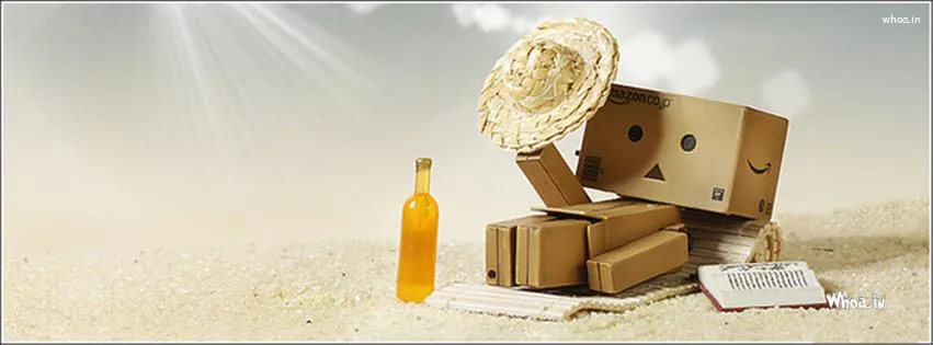 danbo-robot-sunbathing-hd-fb-cover