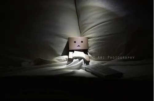 Danbo triste - Imagui