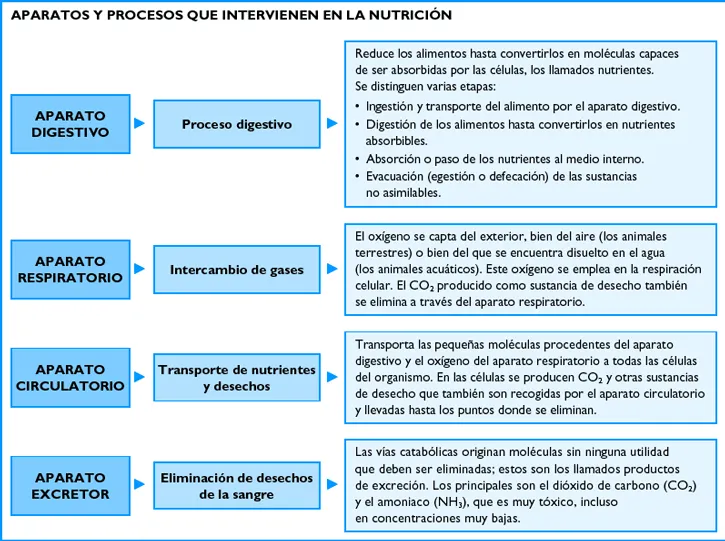 Daniel Díaz Carbayo | Conocimiento del Medio 5º y 6º de Primaria