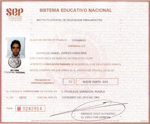 Daniel Torres Oseguera: Certificado de Primaria