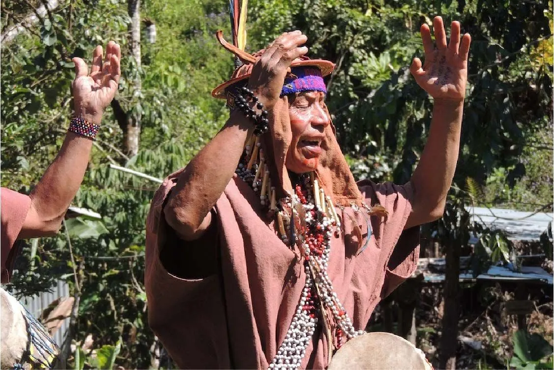 Danza Ayahuasca | Danzas Típicas de la selva Peruana Danza Ayahuasca | Danzas Típicas de la selva Peruana
