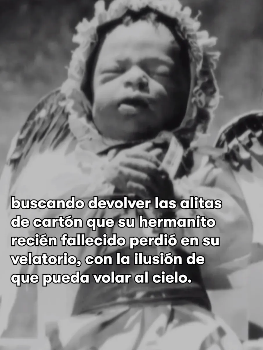 Lo Lo