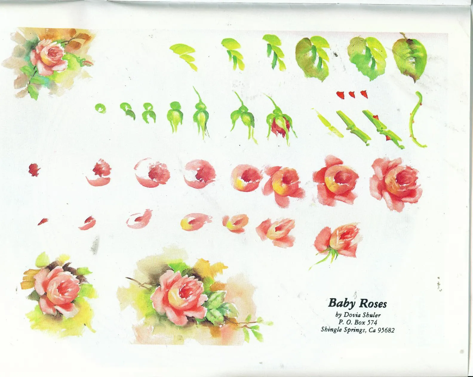 das Artes: Como pintar rosas e outras flores. das Artes: Como pintar rosas e outras flores.