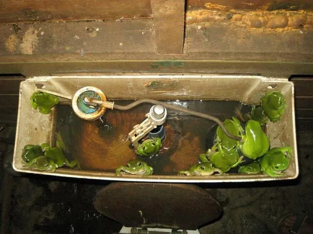 y así es como te das cuenta que no han lavado el baño (