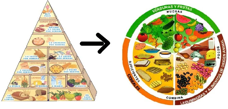 Maquetas de él plato del buen comer - Imagui