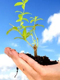 Porque debemos cuidar el planeta tierra - Taringa! Porque debemos cuidar el planeta tierra - Taringa!