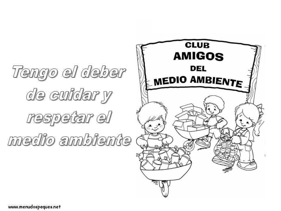 Deber de respetar el medio ambiente