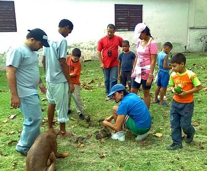 Deberes en la comunidad - Imagui