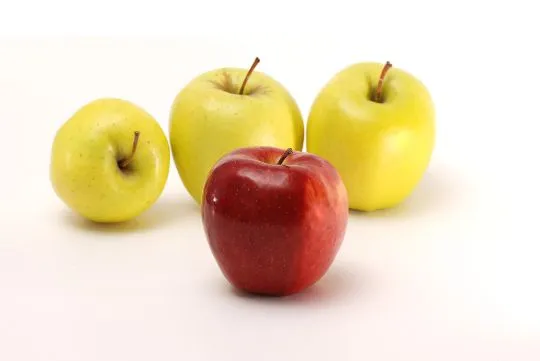 Decenas de manzanas - Imagui