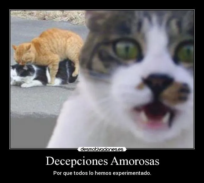 Decepciones Amorosas | Desmotivaciones