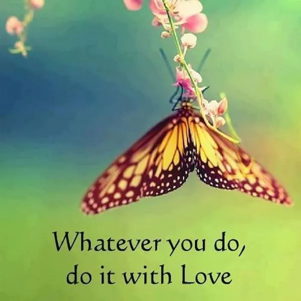 Mi declaración de amor para Maripaz (preciosa mariposa) - www ... Mi declaración de amor para Maripaz (preciosa mariposa) - www ...