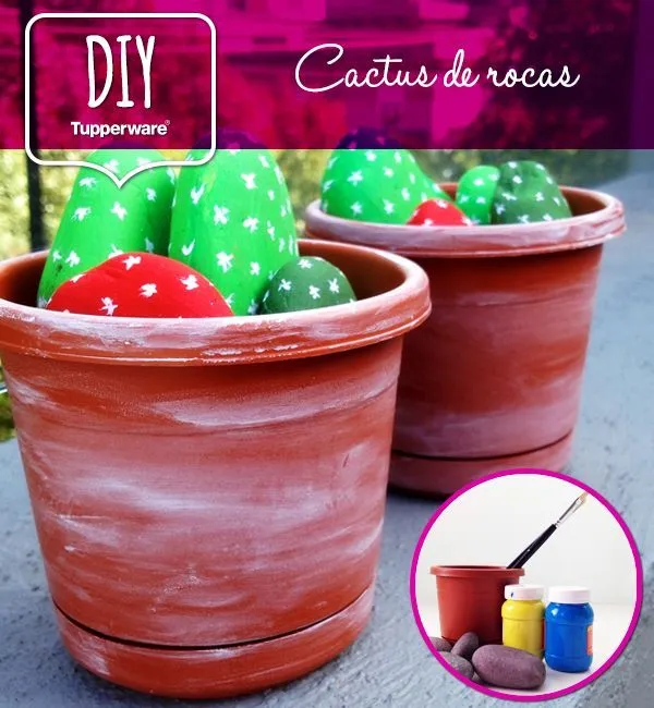 Decora tu casa con una lindas macetas de cactus! Materiales ...